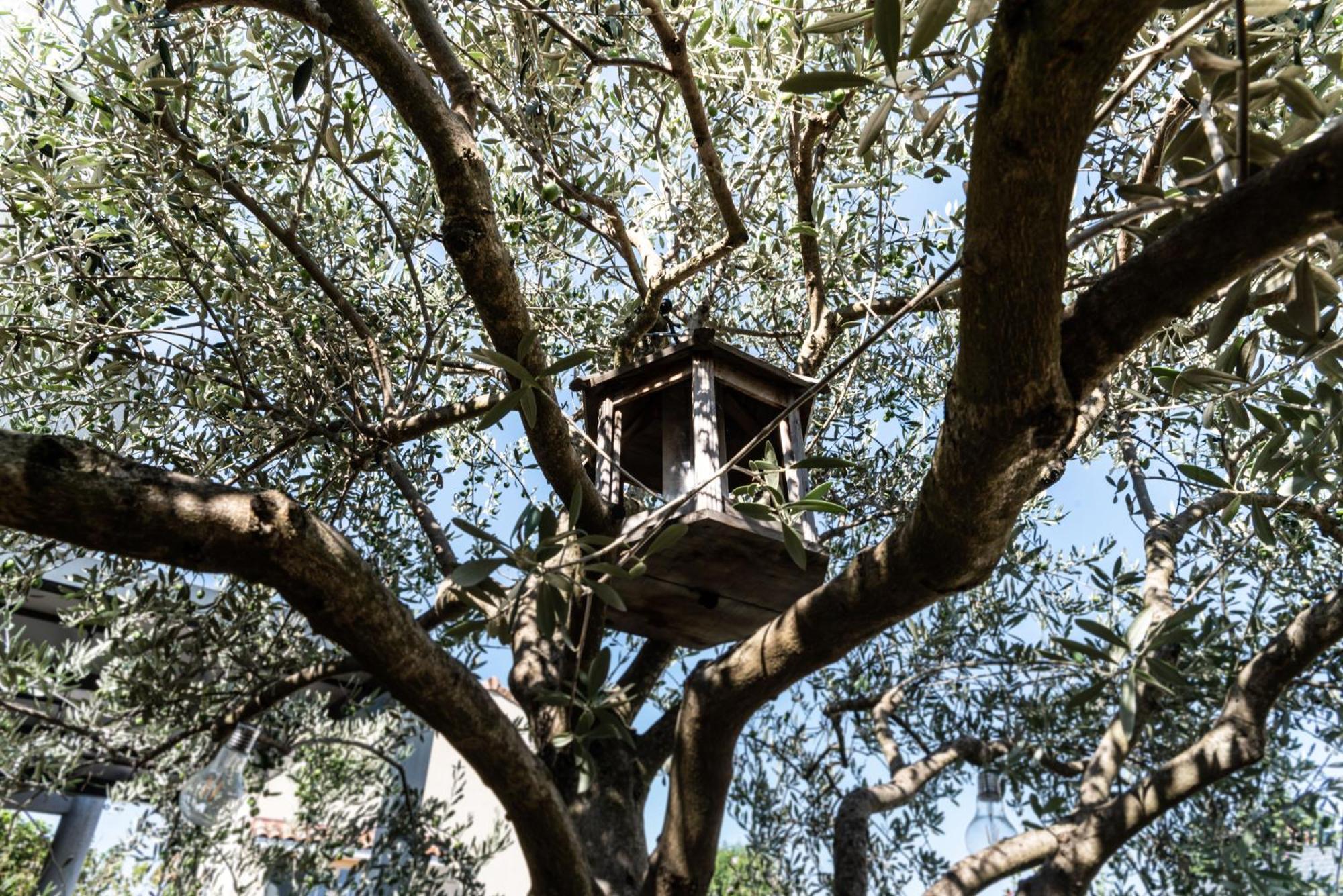 La Maison De Jade &
