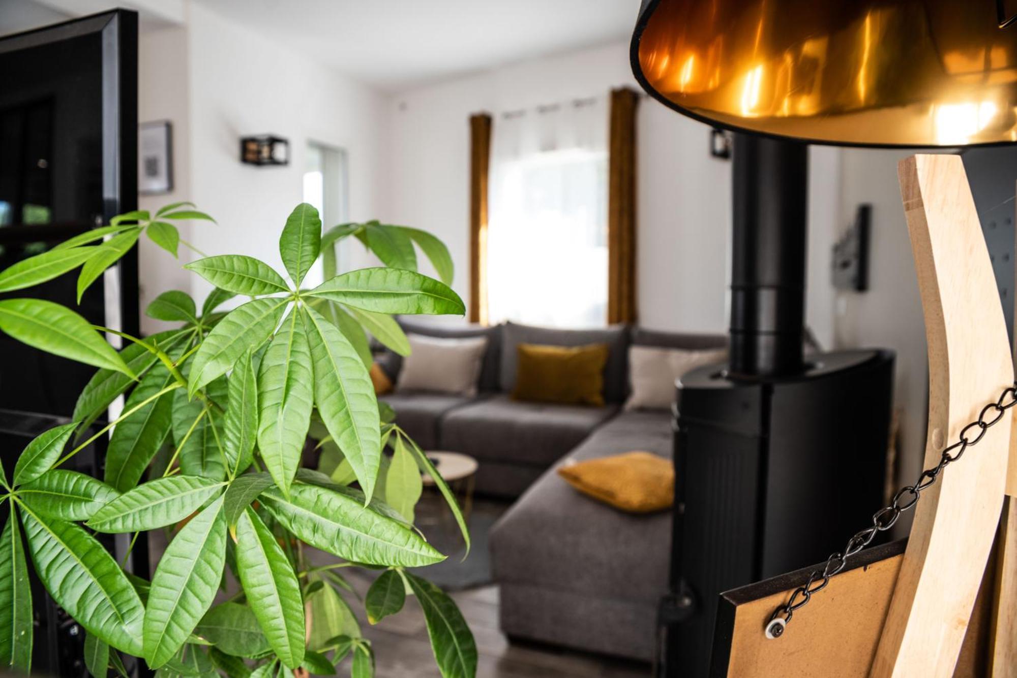 Hébergement de vacances La Maison De Jade &